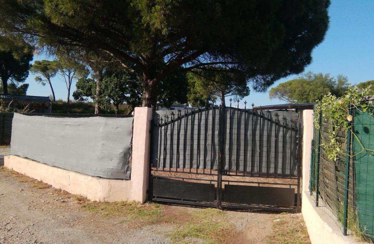Mobilhome A Frejus A 15 Minute De La Mer Sur Terrain Independant المظهر الخارجي الصورة