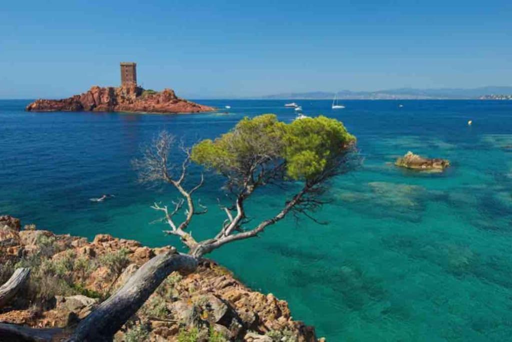 Mobilhome A Frejus A 15 Minute De La Mer Sur Terrain Independant المظهر الخارجي الصورة